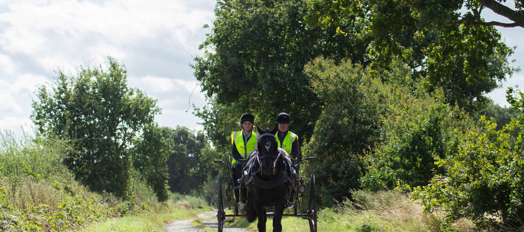 Image Credit The British Horse Society. Carriage Driving DSC 7539