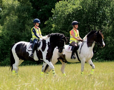 Two horses, two rider in a field