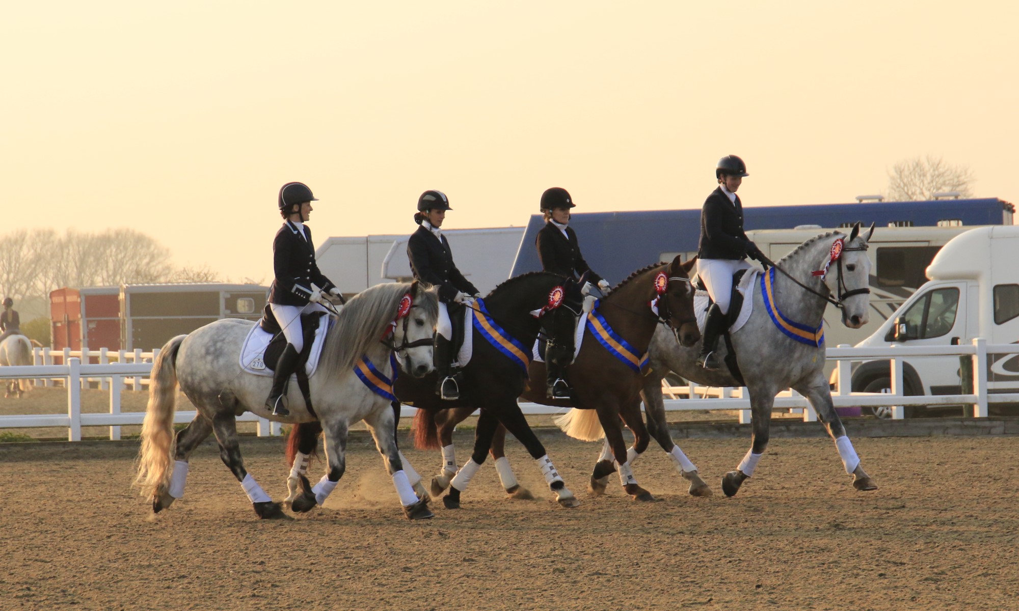 Riding centre with rider and horses on sale