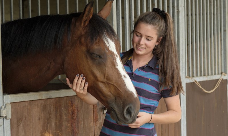 Owning A Horse: Time, Finances & More | The British Horse Society