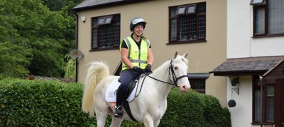rider on a white horse wearing hi vis