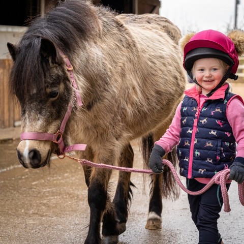 BHS Parbold Equestrian Centre 1 (8)