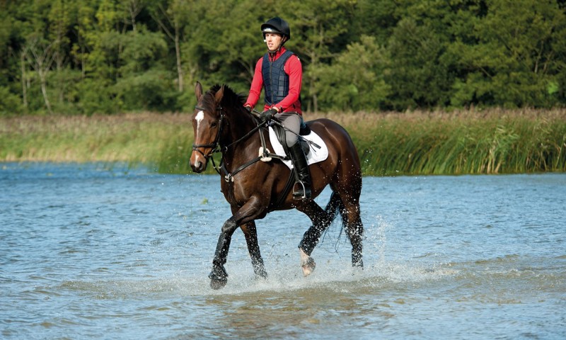 Replacement certificates | The British Horse Society