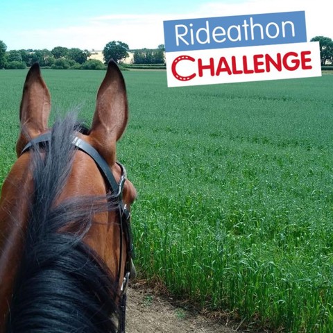 Rideathon 2