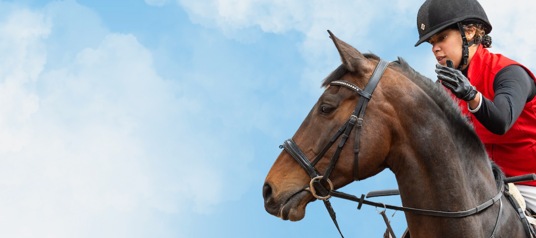 Tacked up horse with rider