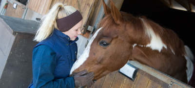 Knowing Your Horse Credit Jon Stroud Media