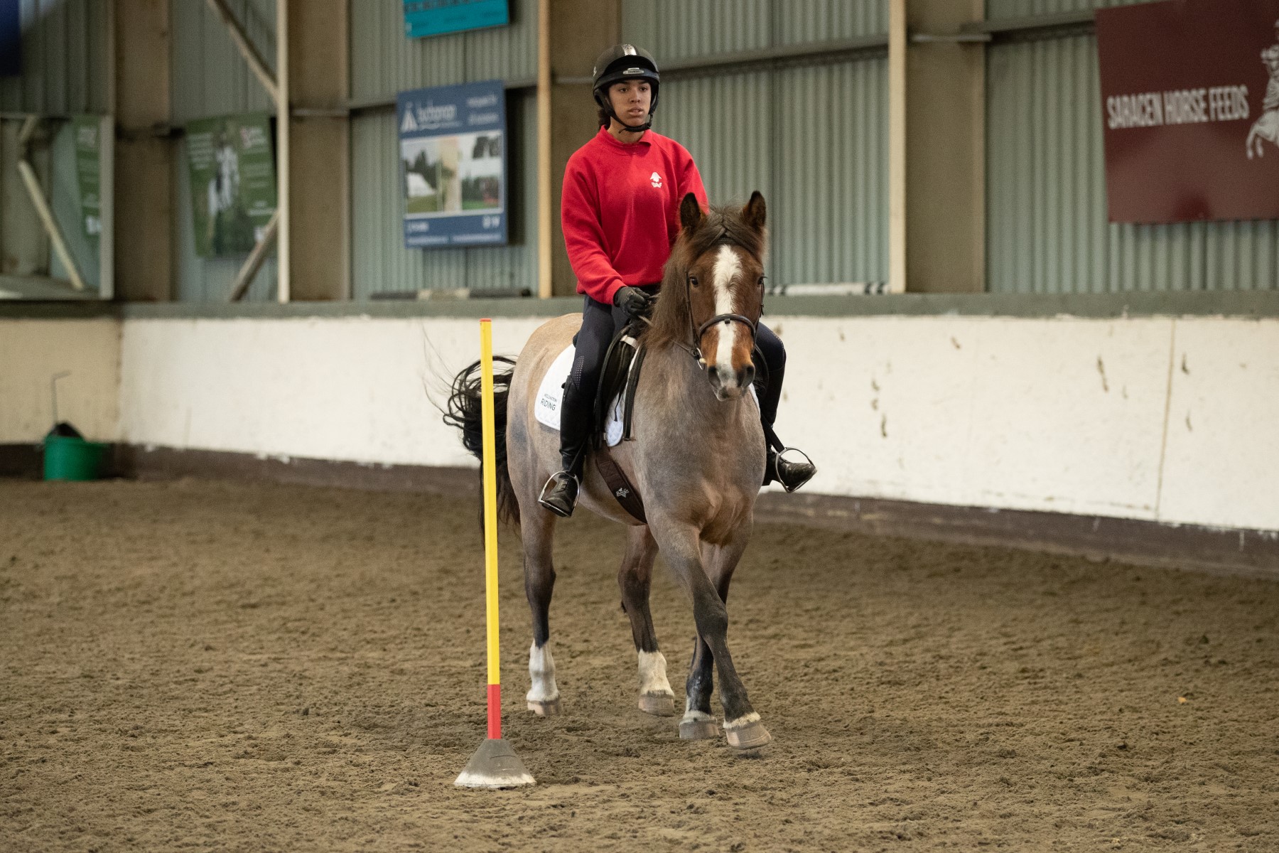 Events & Riding Clubs | The British Horse Society