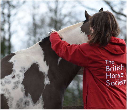 Abbotsholme Equestrian Centre | BHS Approved Centre | The British Horse ...