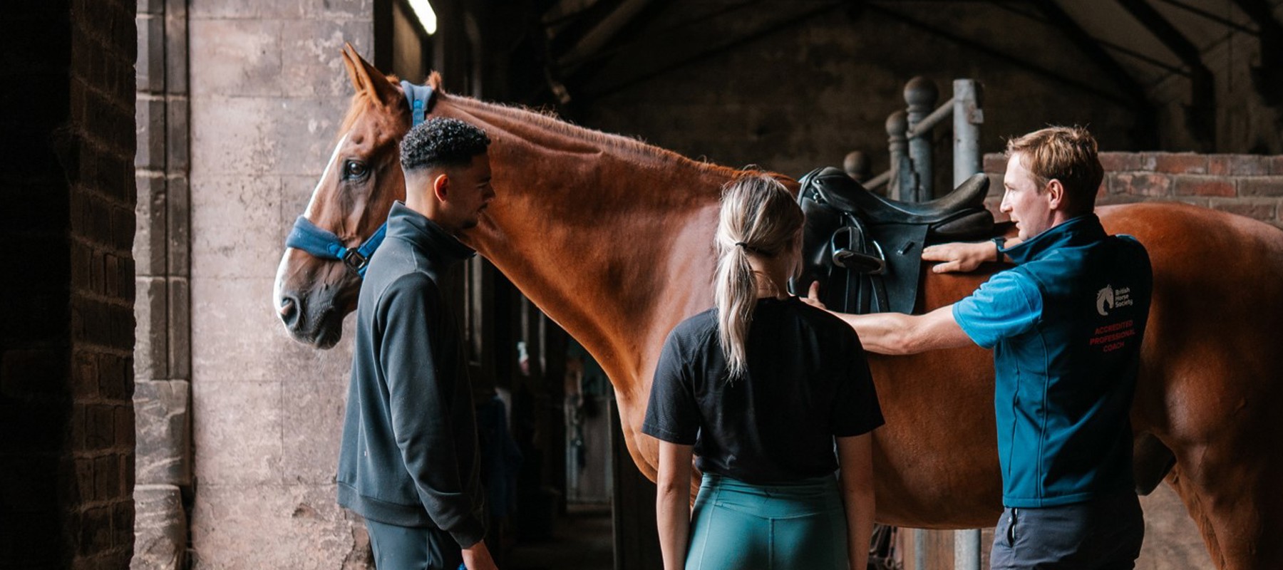 Bhs Ingestre 368 Copy