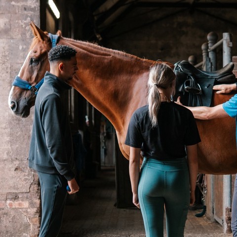 Bhs Ingestre 368 Copy