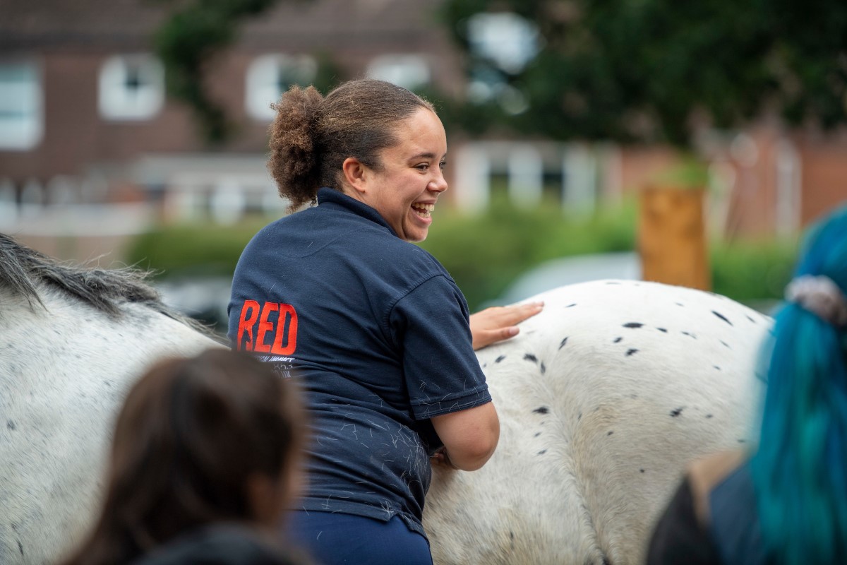 horse stables jobs