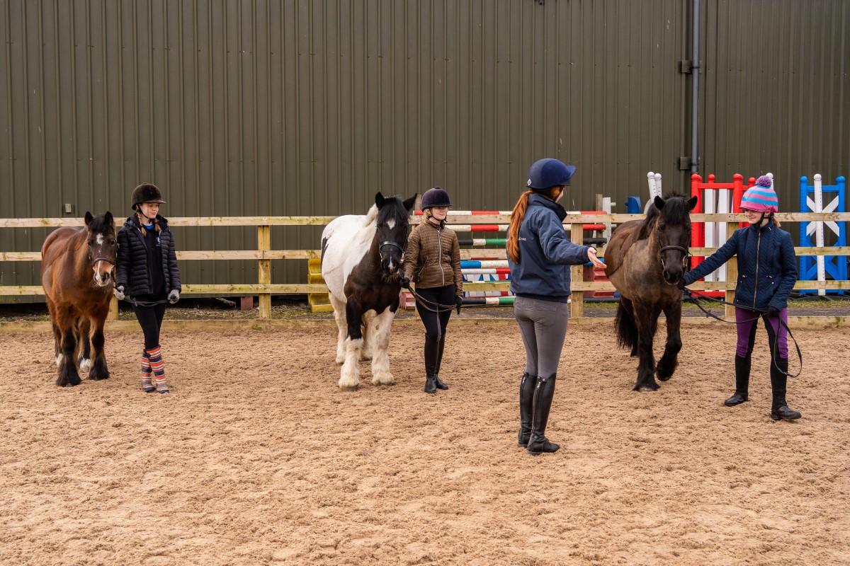 Become BHS Approved | The British Horse Society