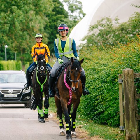 Horses And Riders In Hi Vis Hacking On The Road (1)