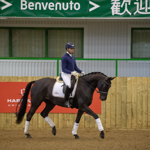 Flatwork