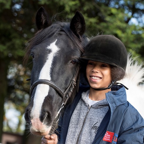 Changing Lives Through Horses