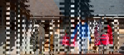 BHS STOCK NOV2016 0617