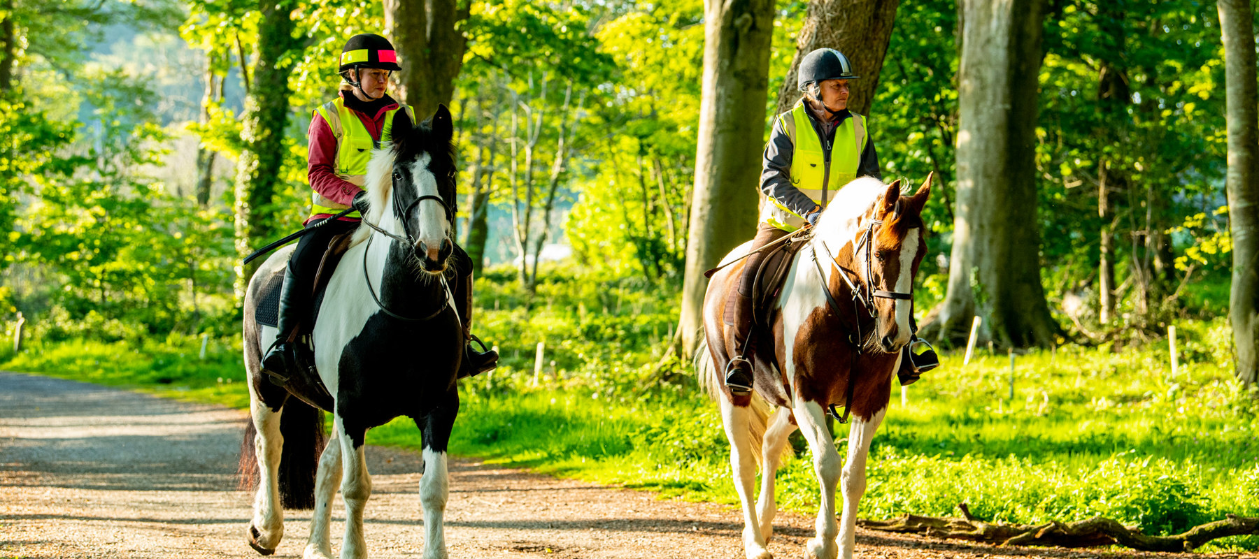 Rider on horse