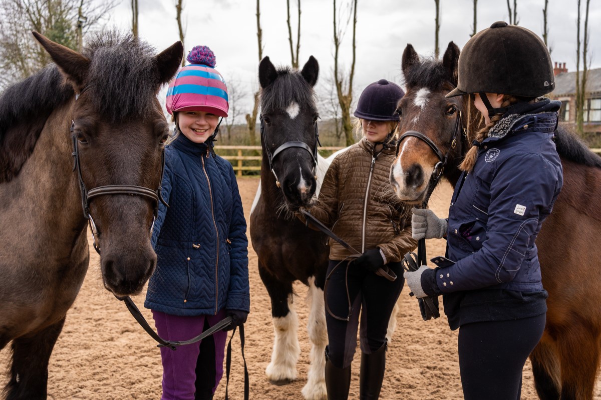 Join The Changing Lives Through Horses Programme | The British Horse ...